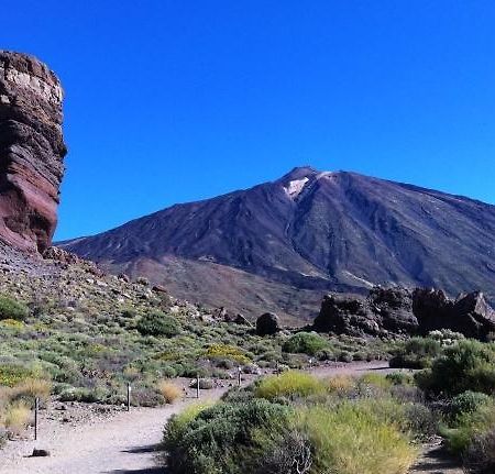 Marody Tenerife House El Medano  Exterior photo