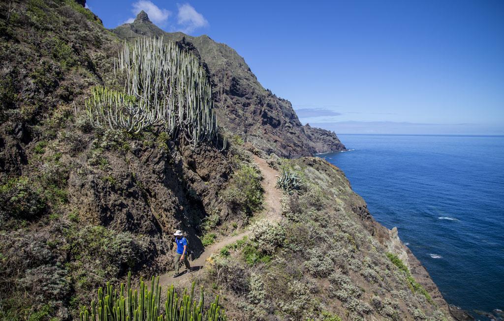 Marody Tenerife House El Medano  Exterior photo